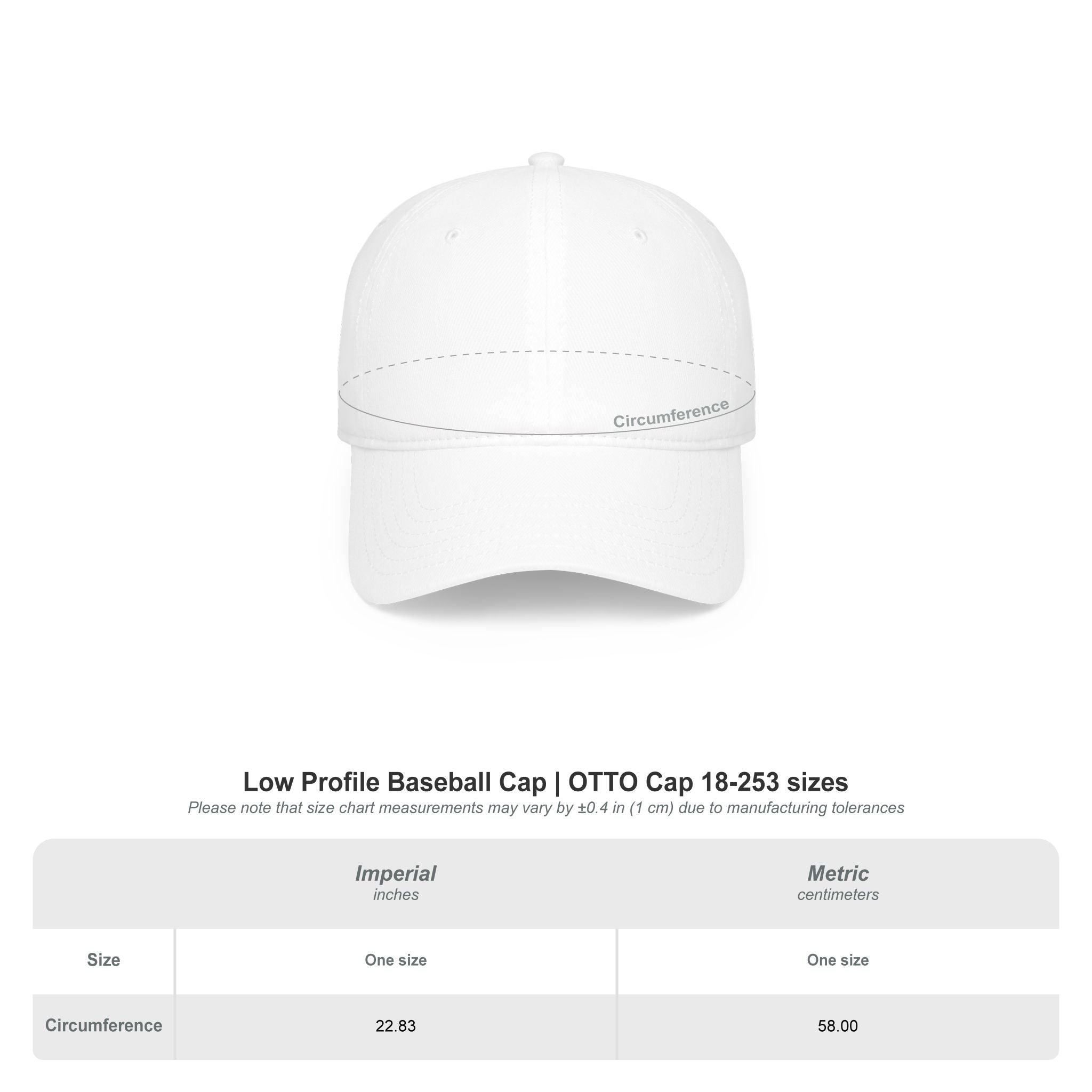 Low Profile Baseball Cap — 'Grill Master, Talk Smack' Dad Hat